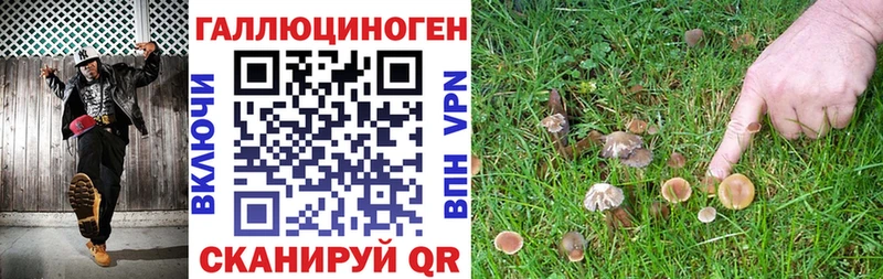 Псилоцибиновые грибы мицелий Купить закладки Нязепетровск